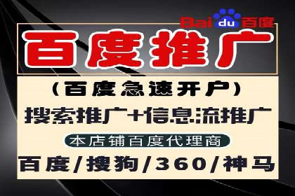 SEM外包公司案例：助力企业拓展海外市场